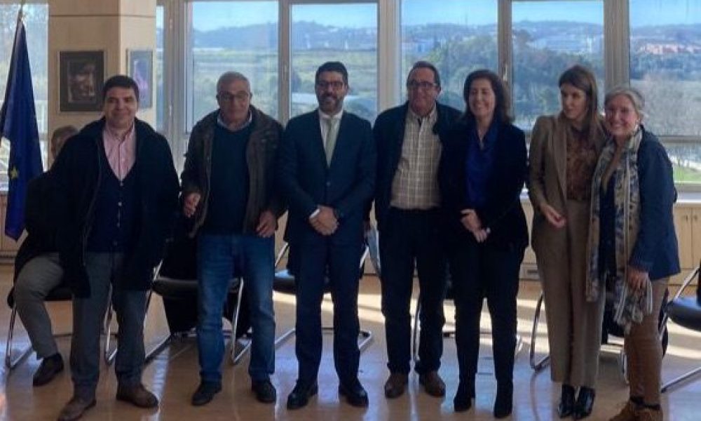 habitação colaborativa